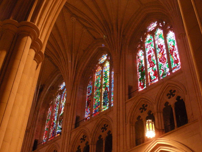 DSCN3168.gif - National Cathedral (Nov '08)